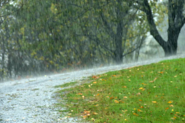 istock Pouring Rain in the Summer (blurred background) 700262352