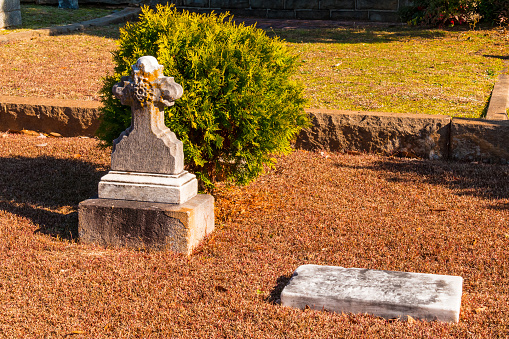 Two small tombstones and bush on the ground closeup on the Oakland Cemetery in sunny autumn day, Atlanta, USA