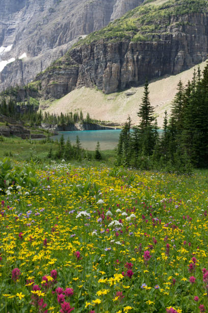 istock Glacier National Park, USA 700286820