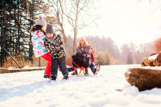 istock Family Having Fun Outdoors At Winter 700293352