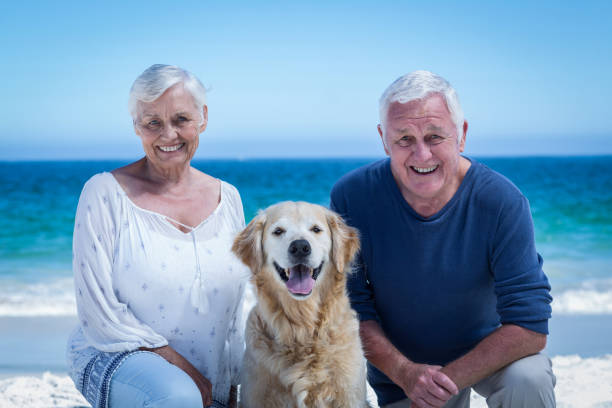 istock Cute mature couple posing with their dog 700297210