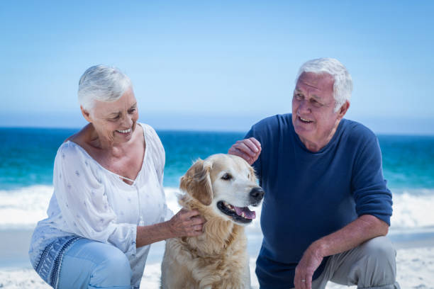 istock Cute mature couple petting their dog 700297228