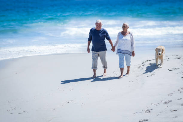 istock Cute mature couple holding hands walking the dog 700299260