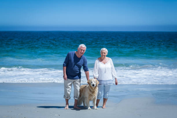 istock Cute mature couple holding hands walking the dog 700299268