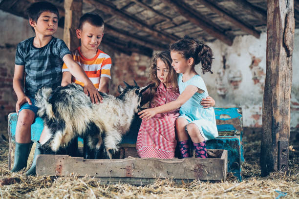 istock Children-animal friendship 700300346