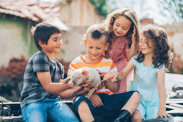 Loving children with baby piglet Group of children holding and carresing a baby piglet petting zoo stock pictures, royalty-free photos & images