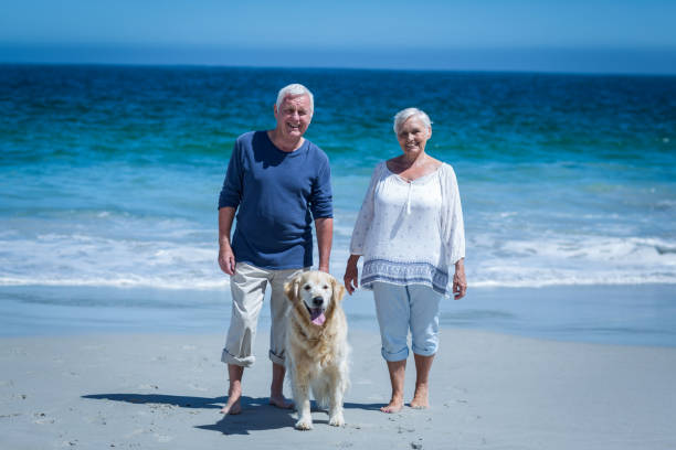istock Cute mature couple holding hands walking the dog 700301304