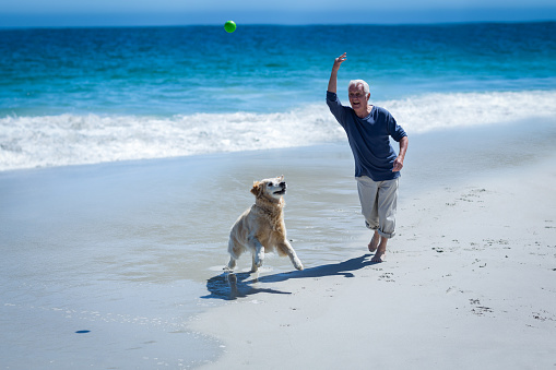 Mature man throwing a ball to his dog on the beach