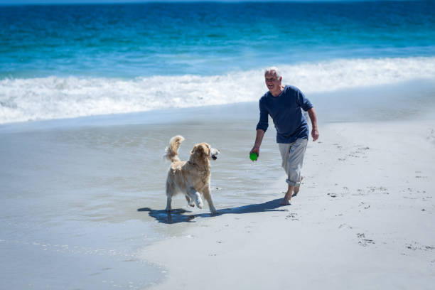 istock Mature man throwing a ball to his dog 700303426