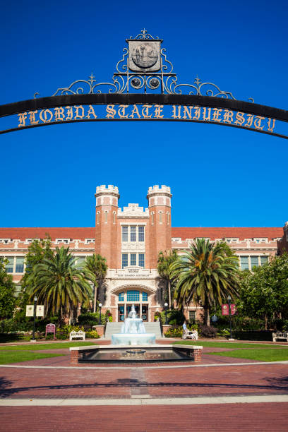 florida state university a tallahassee - florida state foto e immagini stock