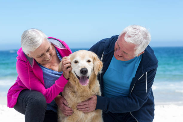 istock Cute mature couple petting their dog 700318998