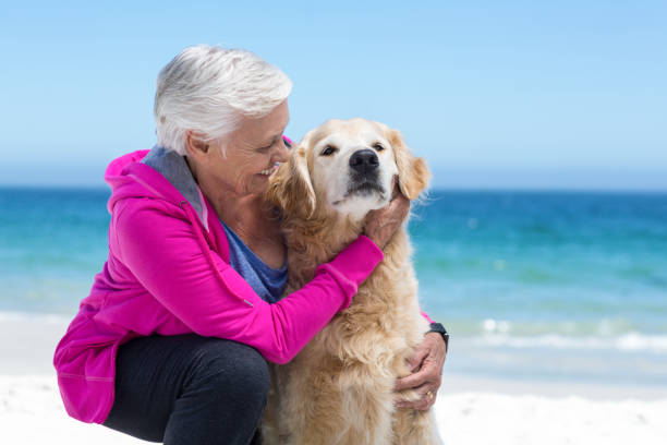 istock Cute mature woman petting her dog 700319034
