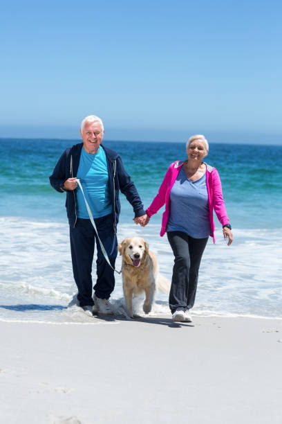 istock Cute mature couple walking their dog 700319072