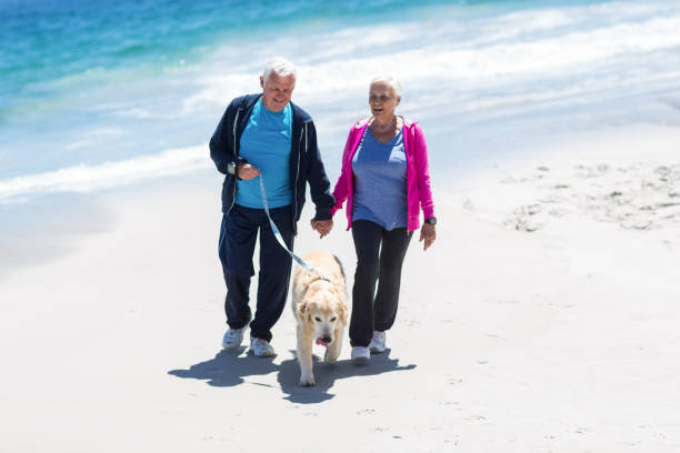 istock Cute mature couple walking their dog 700319080