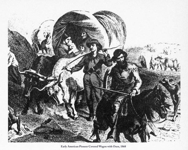 illustrazioni stock, clip art, cartoni animati e icone di tendenza di pioneer covered wagon con buoi, incisione vittoriana dei primi americani, 1868 - santa fe trail