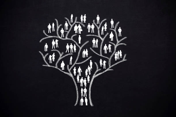 Human tree tree with human man and woman silhouettes instead of leaves. Concept of social network, teamwork and family tree. family trees stock pictures, royalty-free photos & images
