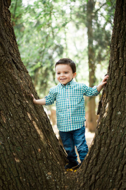 istock Cute little boy standing on tree and smiling 700372890