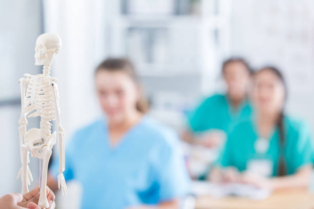 istock Medical professor shows human skeletal model to students 700379098