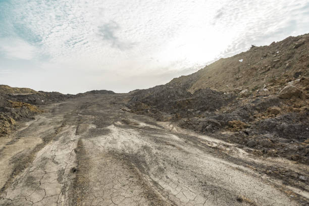 istock desert area with no plants 700392510