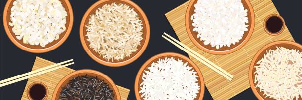 그릇에 쌀의 종류와 배너. 인도, 야생, 재 스민, 긴 갈색, arborio, 스시 젓가락 - rice paddy rice food short grain rice stock illustrations