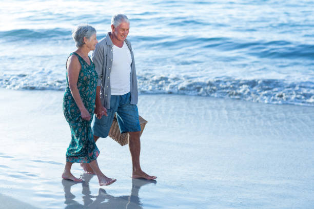 istock Senior couple with a picnic basket 700415004