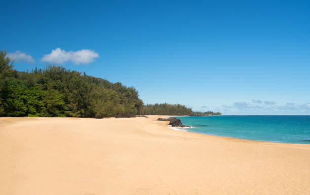 istock Lumahai Beach Kauai on calm day 700415590