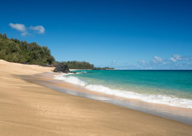 istock Lumahai Beach Kauai on calm day 700420100