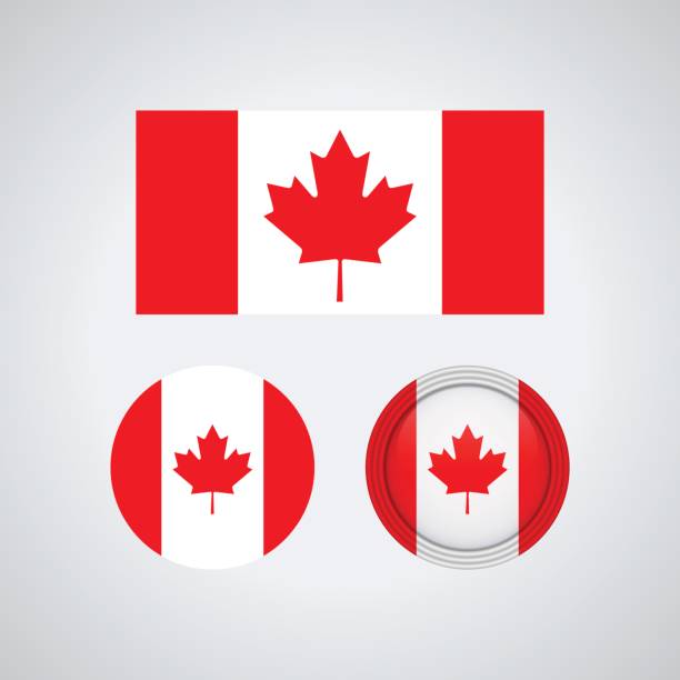 Canadian trio flags, vector illustration Flag design. Canadian flag set. Isolated template for your designs. Vector illustration. canadian flag maple leaf computer icon canada stock illustrations