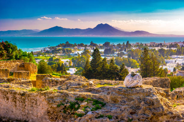 Young woman in yellow dress in front of the Carthage ancient ruins, Tunis, Tunisia