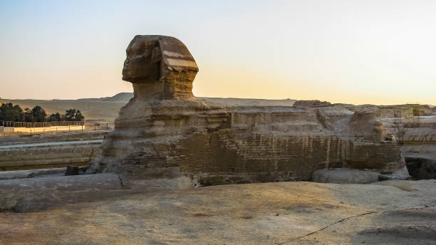 istock Great Sphinx in Giza, view in profile 700450818