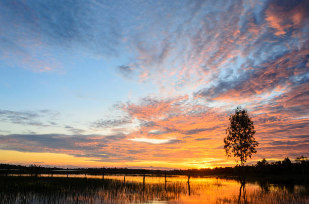 istock beautiful Sunset countryside from Thailand 700454266