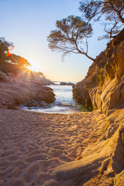 Costa Brava sunrise amazing colros in the rocks, and lens flare from the rising sun.