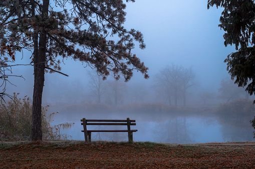 Creepy winter landscape showing bench beside lake on misty day.