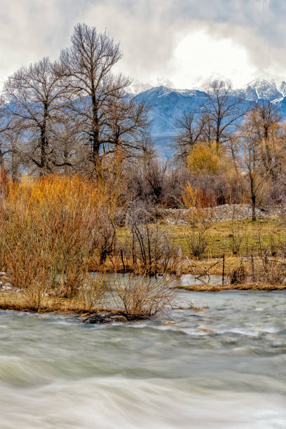 istock the Narat Grassland Resort 700488118