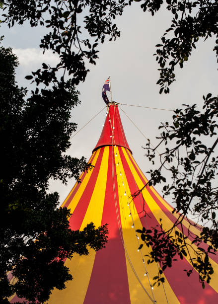 istock Circus tent in bushes 700491382