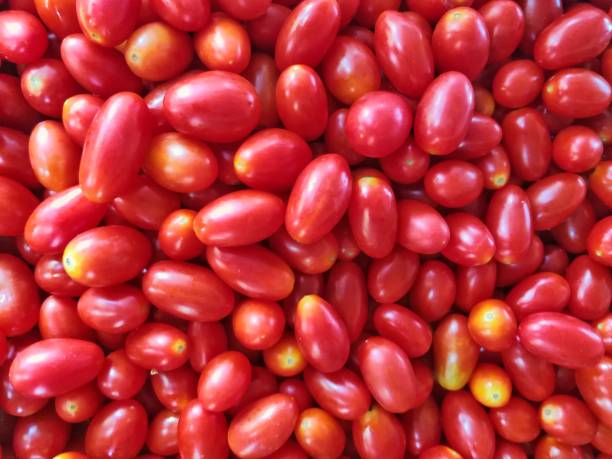 istock Plenty of Cherry tomato background 700494804