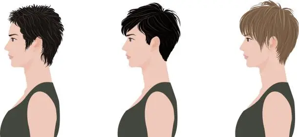 Vector illustration of Hairstyle