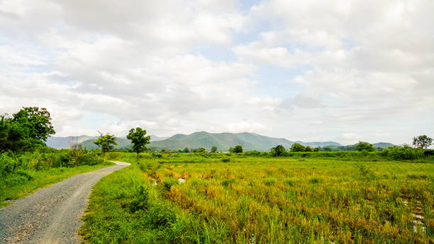 istock landscape in north Thailand 700506040