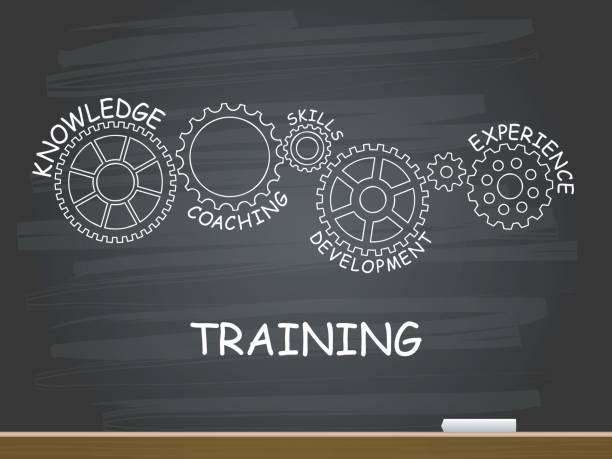Training with gear concept on chalkboard. Vector illustration. Training with gear concept on chalkboard. Vector illustration. learning and development stock illustrations