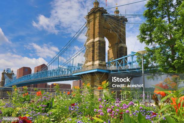 The Roebling Bridge In Cincinnati In The Summer Stock Photo - Download Image Now - Cincinnati, Kentucky, Bridge - Built Structure