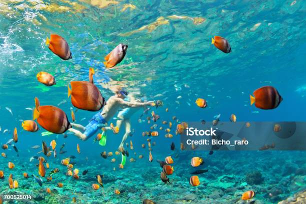 Happy Couple Snorkeling Underwater Over Coral Reef Stock Photo - Download Image Now - Snorkel, Snorkeling, Maldives