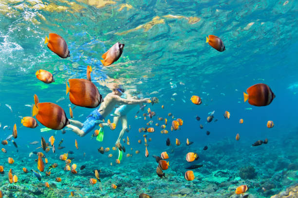 happy couple snorkeling underwater over coral reef - vacations couple travel destinations snorkeling imagens e fotografias de stock