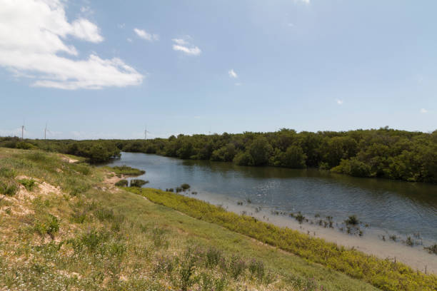 istock Wind power in Rio Grande do Norte, Brazil 700531574