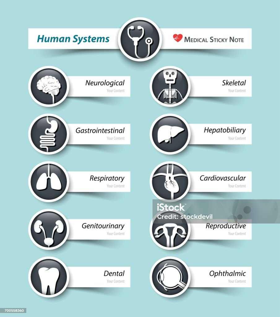 Human systems . Medical icon and sticky note . List stock vector