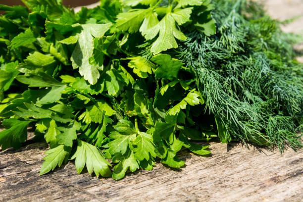 istock Fresh green dill and parsley herbs on rustic wooden table 700587182