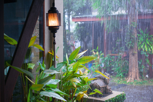 in rainy day