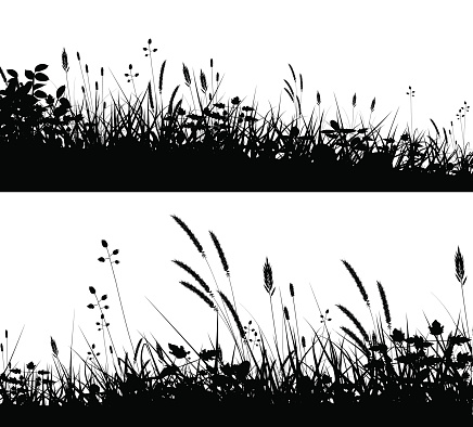 Two editable vector silhouettes of grassy meadows in summer