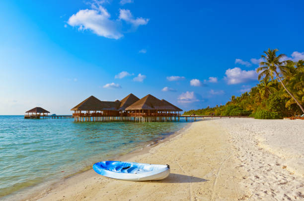 Boat on Maldives beach Boat on Maldives beach - nature vacation background water bungalow maldives stock pictures, royalty-free photos & images