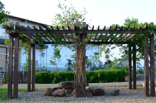 istock Flower trellis in the garden 700599618