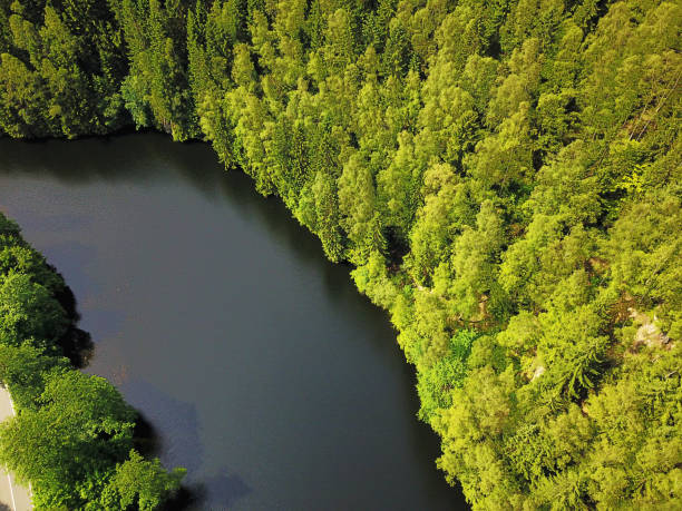 istock Lake in the National Park Harz 700627062